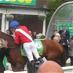 bet on sandown classic day